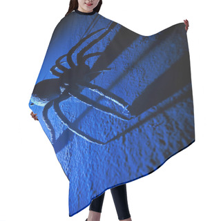 Personality  Large Fake Spider With Long Shadows In Haunted House. Hair Cutting Cape