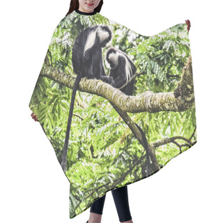 Personality  Black & White Colobus On The Tree  Hair Cutting Cape