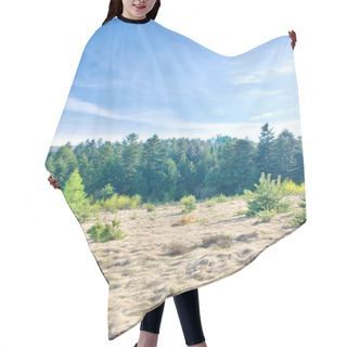 Personality  Forest At Spring Time. Nature Landscape Hair Cutting Cape
