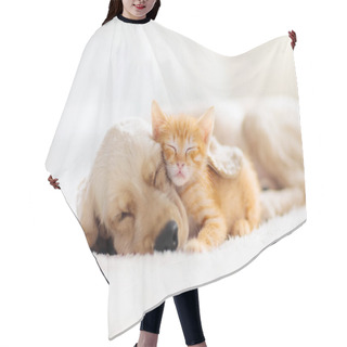 Personality  Cat And Dog Sleeping. Puppy And Kitten Sleep. Hair Cutting Cape