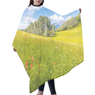 Personality  Lush Meadow With Indian Paintbrush Flowers, Trees And Snow Covered Mountains In The Back. Hair Cutting Cape