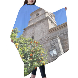 Personality  View Of Church With Oranges Trees In The Foreground. Hair Cutting Cape