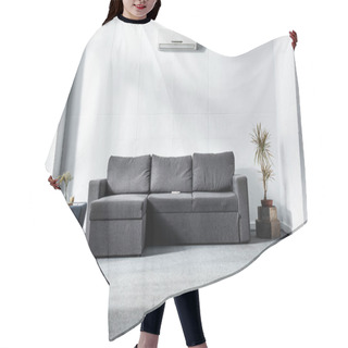 Personality  Grey Sofa Near Green Plants In Modern Living Room  Hair Cutting Cape