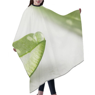 Personality  Closeup View Of Aloe Vera Slice With Juice  Hair Cutting Cape