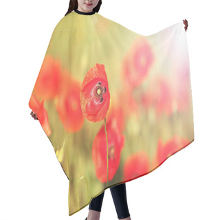 Personality  Meadow With Beautiful Bright Red Poppy Flowers In Spring Hair Cutting Cape