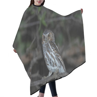 Personality  Elf Owl Sitting On Perch At Night Hair Cutting Cape