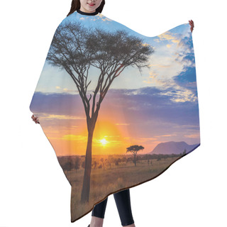 Personality  Sunset In Savannah Of Africa With Acacia Trees, Safari In Serengeti Of Tanzania Hair Cutting Cape