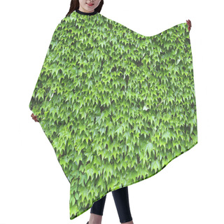 Personality  Ivy Leave Background Hair Cutting Cape