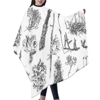 Personality  Hand Drawn Mosses And Lichens Hair Cutting Cape