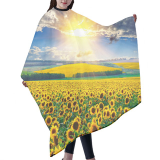 Personality  Sunflower Field At The Morning Hair Cutting Cape