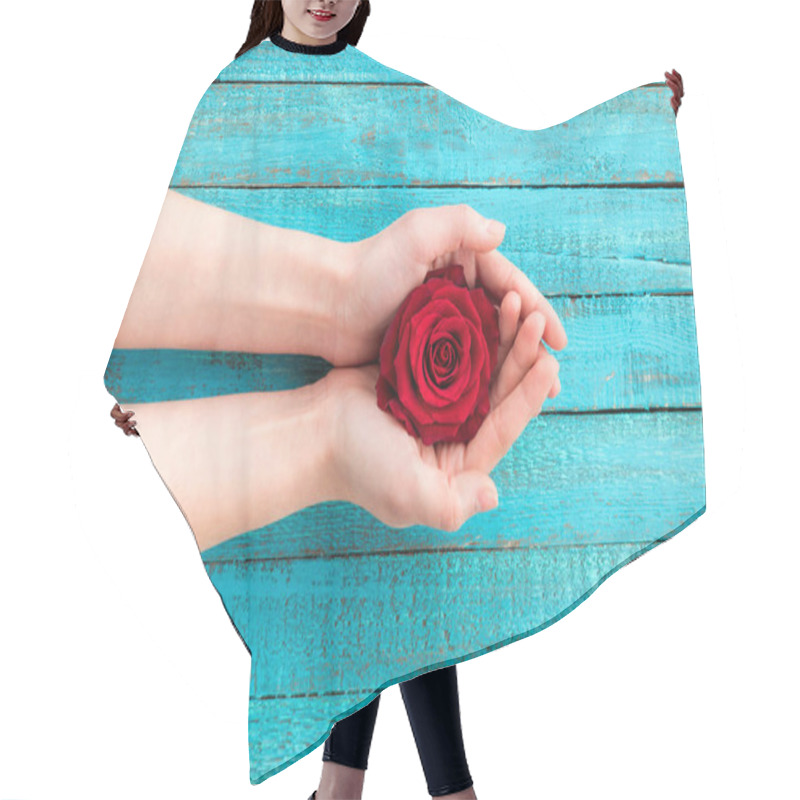 Personality  hands holding rose hair cutting cape