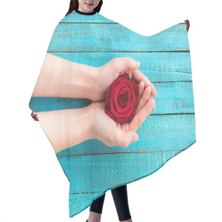 Personality  Hands Holding Rose Hair Cutting Cape