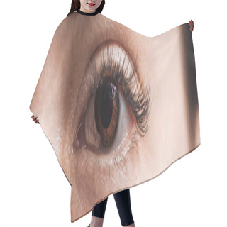 Personality  Close Up View Of Human Brown Eye With Long Eyelashes Looking At Camera, Panoramic Shot Hair Cutting Cape