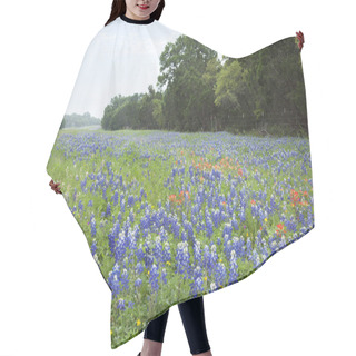 Personality  Bluebonnets And Indian Paintbrush Flowers Along Texas Hill Count Hair Cutting Cape