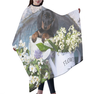 Personality  Dachshund Puppy Black Tan Color And Lilac Purple And  Spring Lilies Of The Valley Hair Cutting Cape
