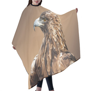 Personality  Golden Eagle Hair Cutting Cape