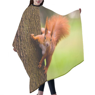 Personality  Red Eurasian Squirrel Hair Cutting Cape