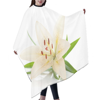 Personality  White Lily Hair Cutting Cape