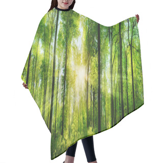 Personality  Forest Panorama With Rays Of Sunlight Hair Cutting Cape