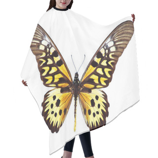 Personality  Giant African Swallowtail Hair Cutting Cape
