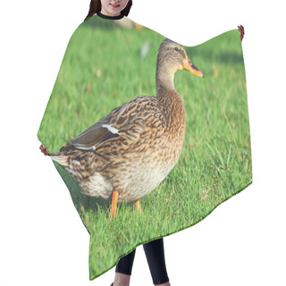 Personality  Beautiful Duck Hair Cutting Cape