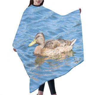 Personality  Mallard Duck Swimming On A Pond Picture With Reflection In Water Hair Cutting Cape