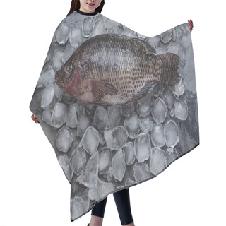 Personality  Top View Of Fresh Raw Sea Fish On Ice Cubes On Grey  Hair Cutting Cape