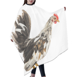 Personality  Bantam Hen In Front Of A White Background Hair Cutting Cape