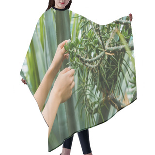 Personality  Cropped Shot Of Young Woman Touching Succulent In Greenhouse Hair Cutting Cape