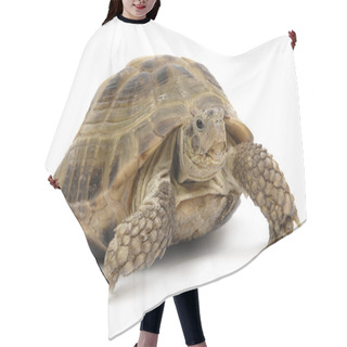 Personality  Turtle2 Hair Cutting Cape