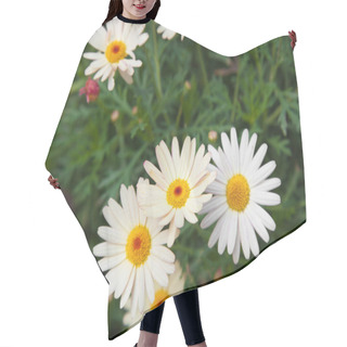 Personality  Marguerite Background Hair Cutting Cape