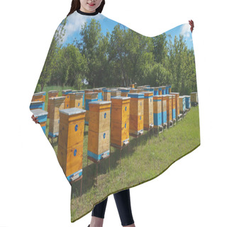 Personality  Rural Apiary And Honey Production. Bee Hive. Swarm Of Bees. Beekeeping. Hair Cutting Cape