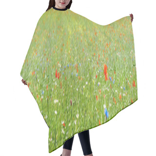 Personality  Colorful Blooming Wild Flowers On The Meadow At Spring Time Hair Cutting Cape