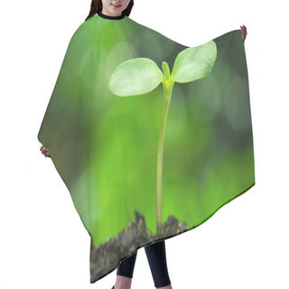 Personality  Sunflower Sprout On Vivid Green Bokeh Background.(horizontal) Hair Cutting Cape