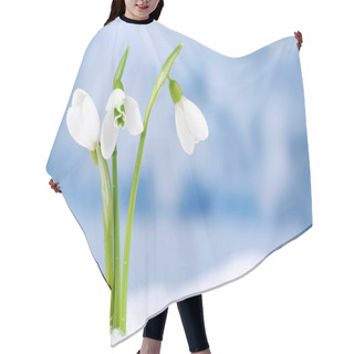 Personality  Beautiful Snowdrops On Snow, On Nature Winter Background Hair Cutting Cape