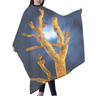 Personality  Naked Tree At Night Vertical Hair Cutting Cape