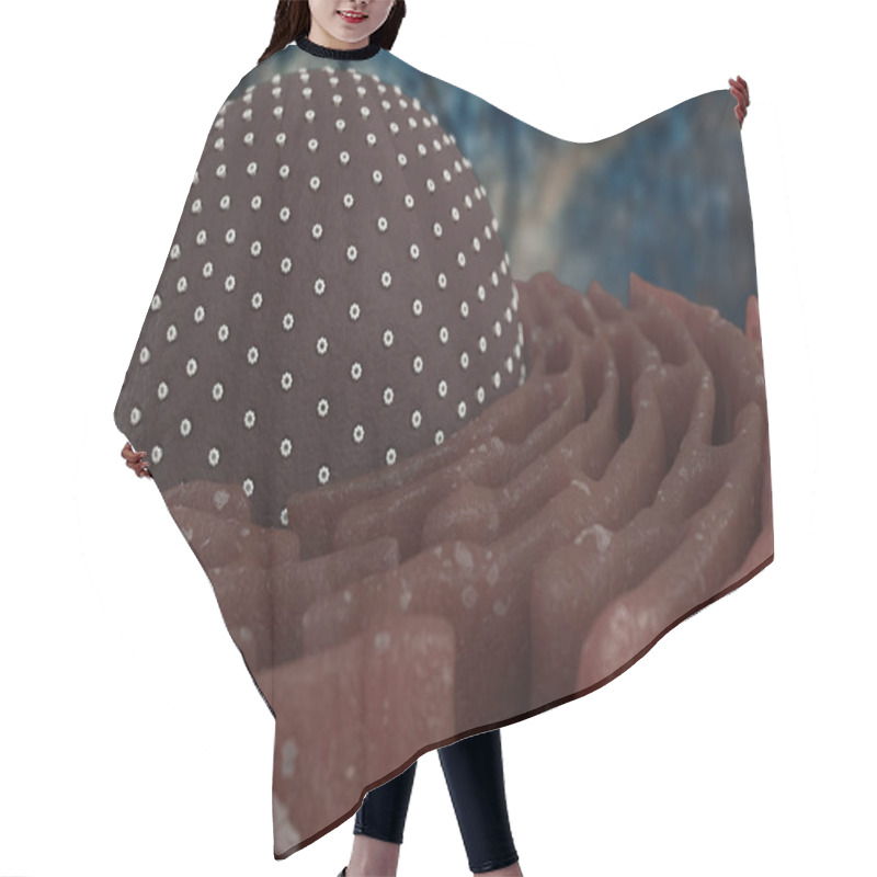 Personality  Nucleus And Rough Endoplasmic Reticulum In 3D Illustration Hair Cutting Cape