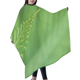 Personality  Exotic Ferns Hair Cutting Cape