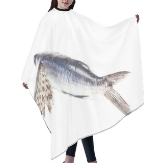 Personality  Flying Fish Hair Cutting Cape