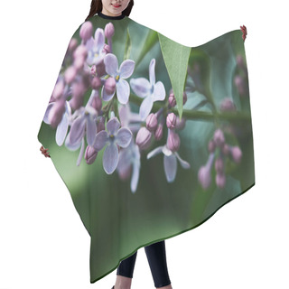 Personality  Close-up Shot Of Beautiful Lilac Flowers On Tree Outdoors Hair Cutting Cape