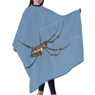 Personality  Banded-legged Golden Orb-web Spider Hair Cutting Cape