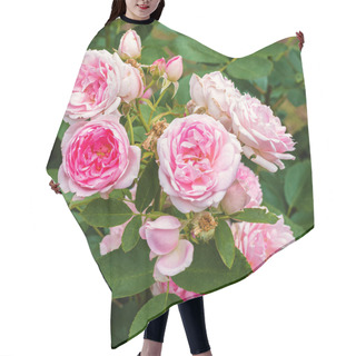 Personality  French Rosehip, Roses With Pink Flowers Hair Cutting Cape