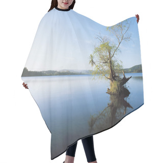 Personality  Tree In Lake Reflecting On Still Water Hair Cutting Cape