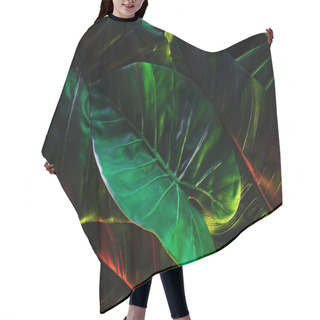 Personality  Full Frame Image Of Beautiful Palm Leaves With Red And Green Lighting  Hair Cutting Cape