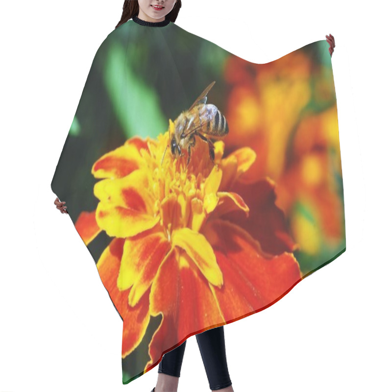 Personality  Bee On The Tagete Flower Hair Cutting Cape