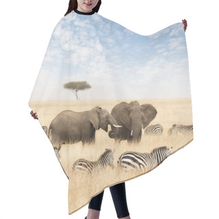 Personality  Elephants With Zebras And Lone Acacia Tree, In The Red Oat Grass Of The Masai Mara, Kenya.  Hair Cutting Cape