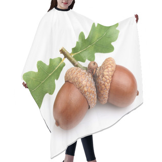 Personality  Dried Acorns With Leaves Hair Cutting Cape