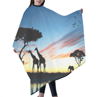 Personality  Safari In Africa. Silhouette Of Wild Animals Reflection In Water Hair Cutting Cape