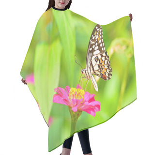 Personality  Butterfly On Flower Hair Cutting Cape