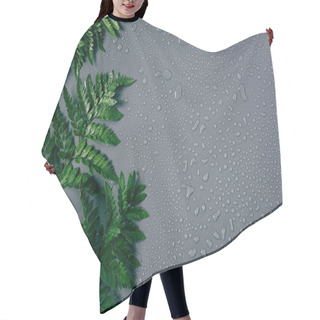 Personality  Flat Lay With Arrangement Of Green Fern Plants With Water Drops On Grey Backdrop Hair Cutting Cape